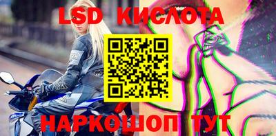 прущие крисы Донской