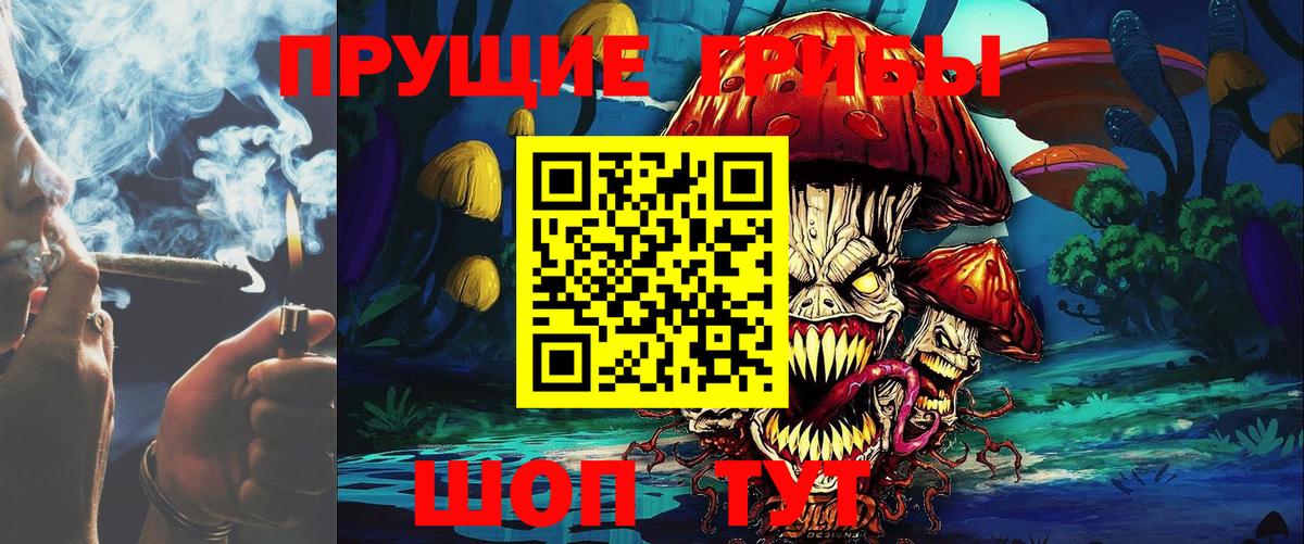 Псилоцибиновые грибы Psilocybe  Галлюциногенные грибы Psilocybe  Наро-Фоминск  Вход с VPN 